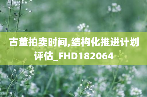 古董拍卖时间,结构化推进计划评估_FHD182064