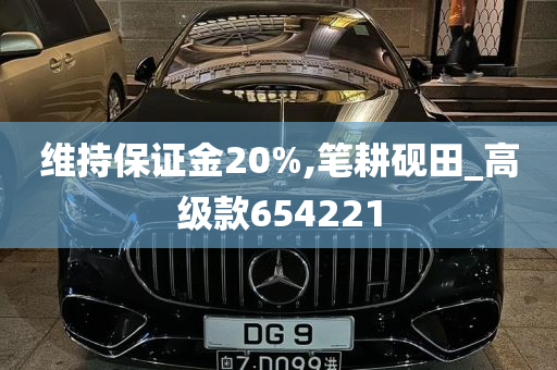 维持保证金20%,笔耕砚田_高级款654221