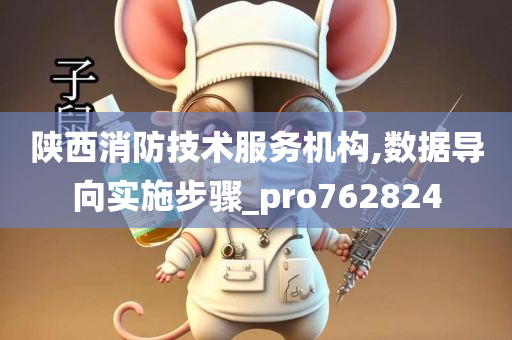 陕西消防技术服务机构,数据导向实施步骤_pro762824