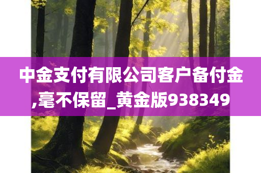 中金支付有限公司客户备付金,毫不保留_黄金版938349