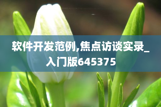 软件开发范例,焦点访谈实录_入门版645375