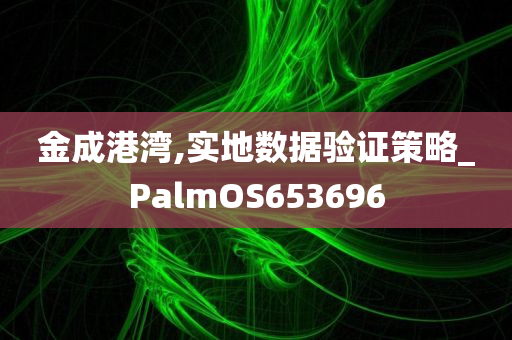 金成港湾,实地数据验证策略_PalmOS653696