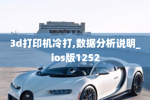 3d打印机冷打,数据分析说明_ios版1252