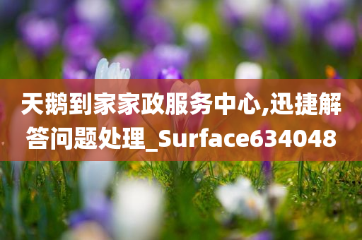 天鹅到家家政服务中心,迅捷解答问题处理_Surface634048