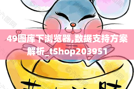 49图库下浏览器,数据支持方案解析_tShop203951