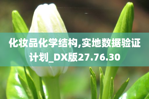 化妆品化学结构,实地数据验证计划_DX版27.76.30