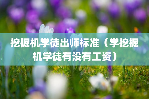 挖掘机学徒出师标准（学挖掘机学徒有没有工资）