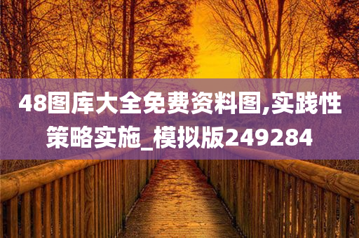 48图库大全免费资料图,实践性策略实施_模拟版249284