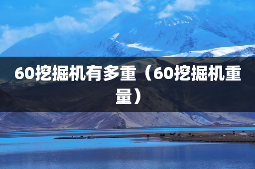 60挖掘机有多重（60挖掘机重量）