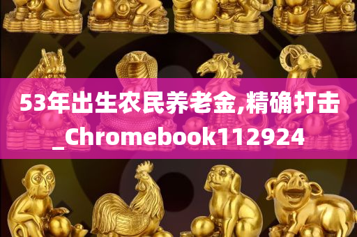 53年出生农民养老金,精确打击_Chromebook112924