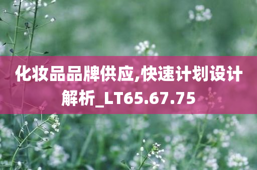 化妆品品牌供应,快速计划设计解析_LT65.67.75