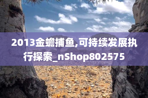 2013金蟾捕鱼,可持续发展执行探索_nShop802575