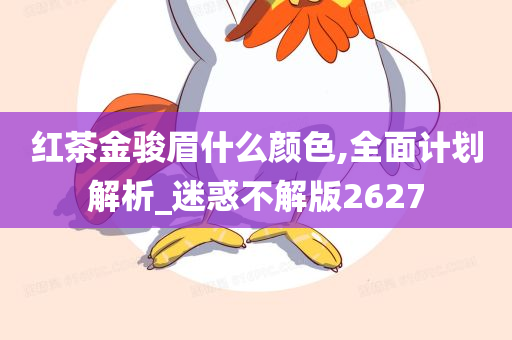 红茶金骏眉什么颜色,全面计划解析_迷惑不解版2627