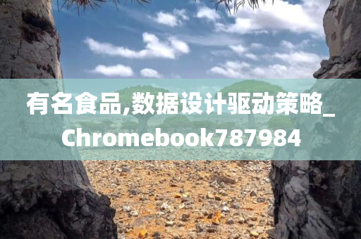 有名食品,数据设计驱动策略_Chromebook787984