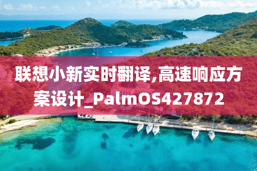 联想小新实时翻译,高速响应方案设计_PalmOS427872