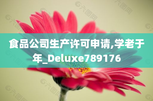 食品公司生产许可申请,学老于年_Deluxe789176