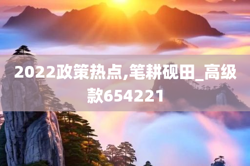 2022政策热点,笔耕砚田_高级款654221