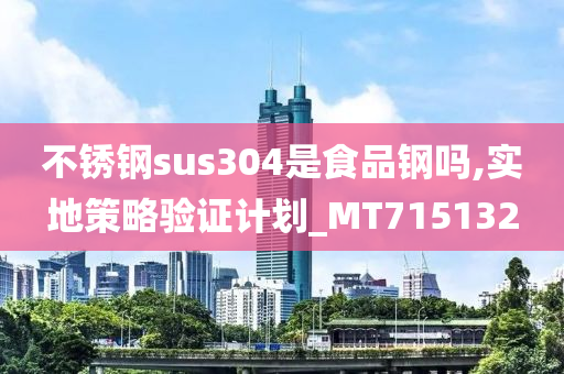 不锈钢sus304是食品钢吗,实地策略验证计划_MT715132