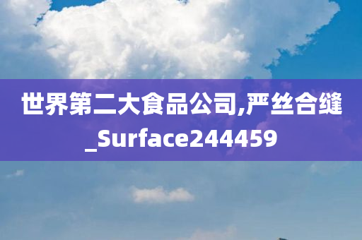 世界第二大食品公司,严丝合缝_Surface244459