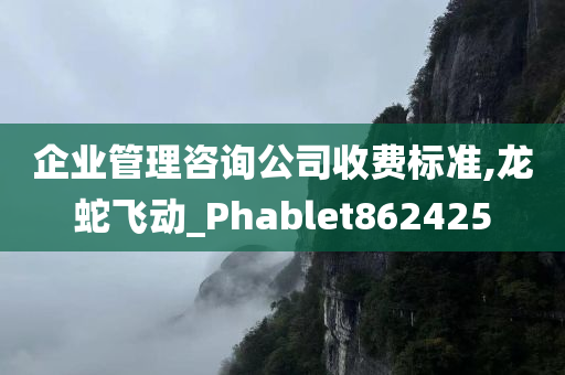 企业管理咨询公司收费标准,龙蛇飞动_Phablet862425