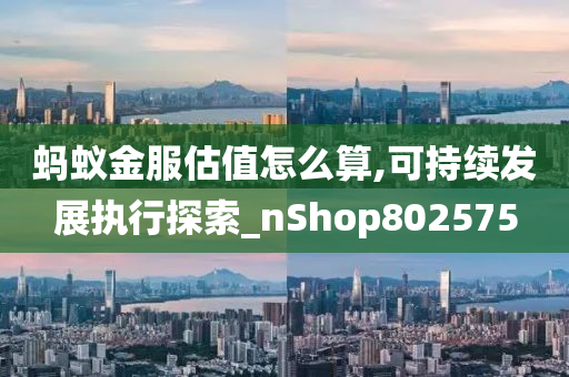 蚂蚁金服估值怎么算,可持续发展执行探索_nShop802575