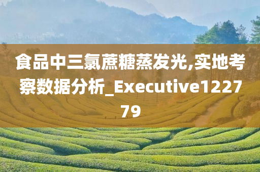 食品中三氯蔗糖蒸发光,实地考察数据分析_Executive122779