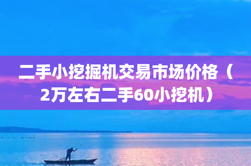 二手小挖掘机交易市场价格（2万左右二手60小挖机）