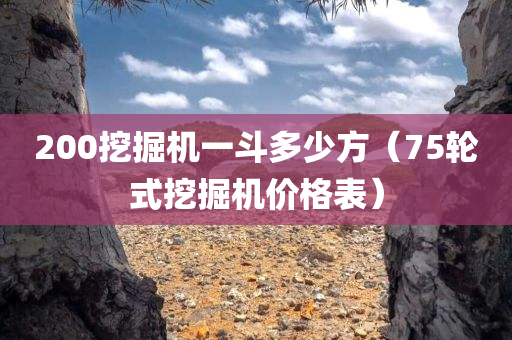 200挖掘机一斗多少方（75轮式挖掘机价格表）