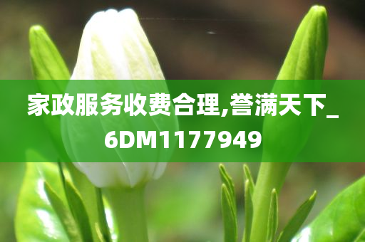 家政服务收费合理,誉满天下_6DM1177949