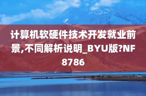 计算机软硬件技术开发就业前景,不同解析说明_BYU版?NF8786