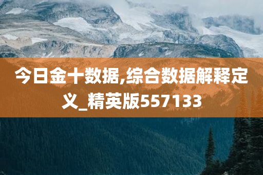 今日金十数据,综合数据解释定义_精英版557133