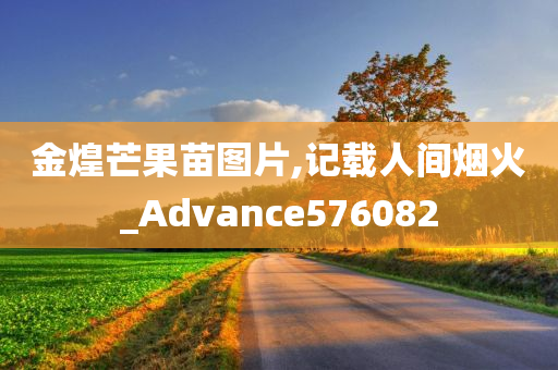 金煌芒果苗图片,记载人间烟火_Advance576082