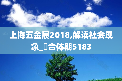 上海五金展2018,解读社会现象_‌合体期5183