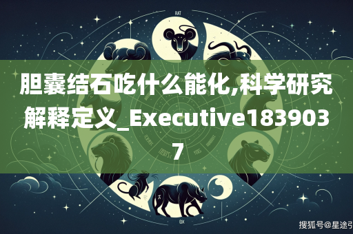 胆囊结石吃什么能化,科学研究解释定义_Executive1839037