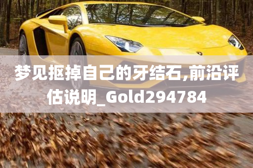 梦见抠掉自己的牙结石,前沿评估说明_Gold294784