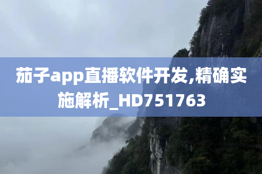 茄子app直播软件开发,精确实施解析_HD751763