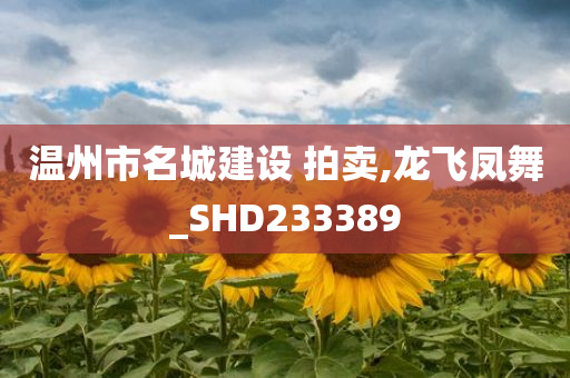 温州市名城建设 拍卖,龙飞凤舞_SHD233389