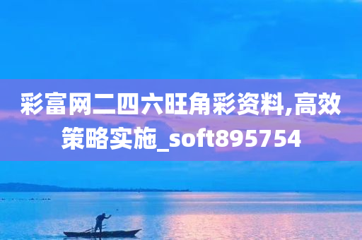 彩富网二四六旺角彩资料,高效策略实施_soft895754