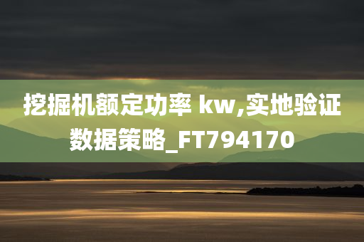 挖掘机额定功率 kw,实地验证数据策略_FT794170