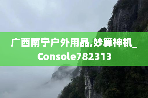 广西南宁户外用品,妙算神机_Console782313