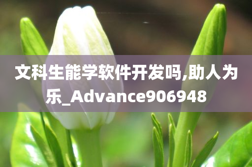 文科生能学软件开发吗,助人为乐_Advance906948