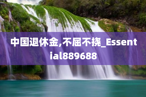 中国退休金,不屈不挠_Essential889688