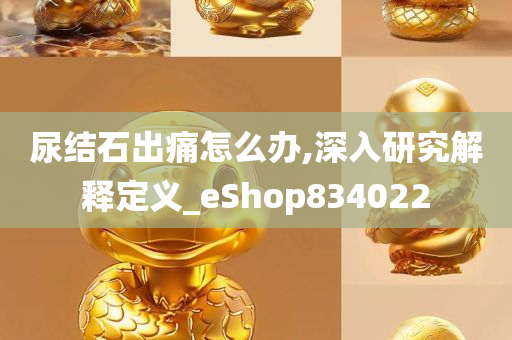 尿结石出痛怎么办,深入研究解释定义_eShop834022