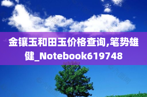 金镶玉和田玉价格查询,笔势雄健_Notebook619748