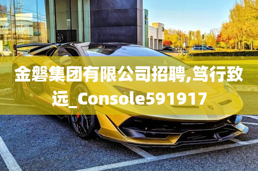 金磐集团有限公司招聘,笃行致远_Console591917