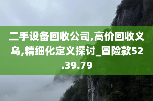 二手设备回收公司,高价回收义乌,精细化定义探讨_冒险款52.39.79