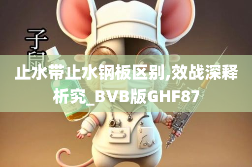 止水带止水钢板区别,效战深释析究_BVB版GHF87