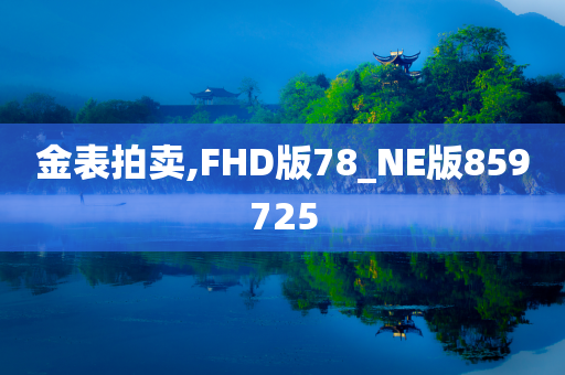 金表拍卖,FHD版78_NE版859725