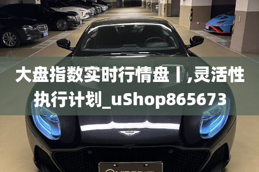 大盘指数实时行情盘丨,灵活性执行计划_uShop865673