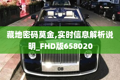 藏地密码莫金,实时信息解析说明_FHD版658020